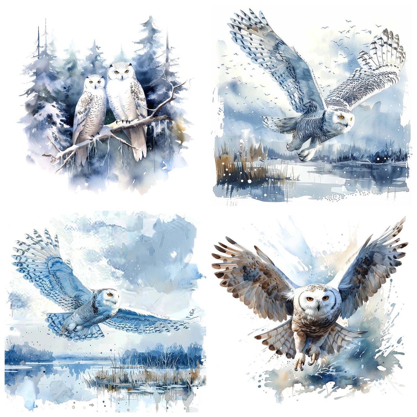 Snowy Owl Clipart Set (DDD006615)