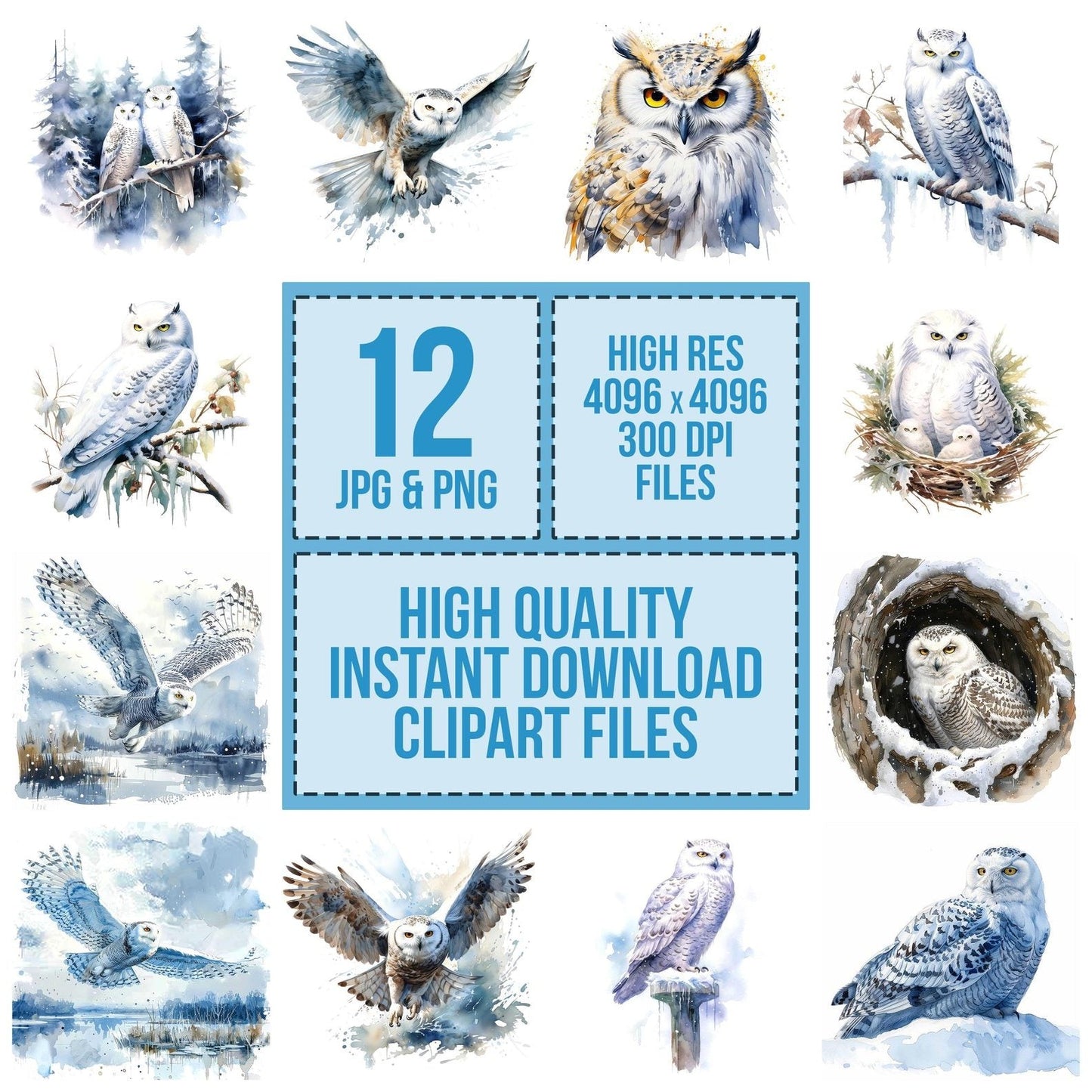 Snowy Owl Clipart Set (DDD006615)