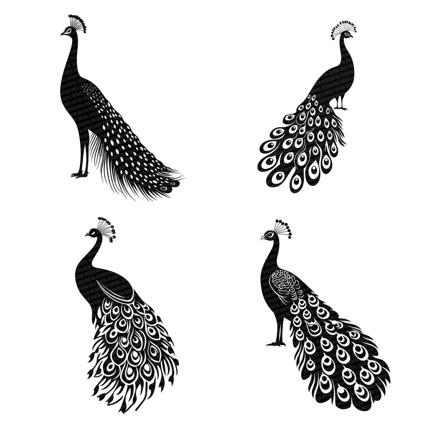 Solid Peacock Silhouette Clipart Set (DDD006623)