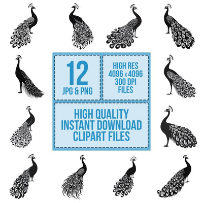 Solid Peacock Silhouette clipart set cover showing the designs and file details