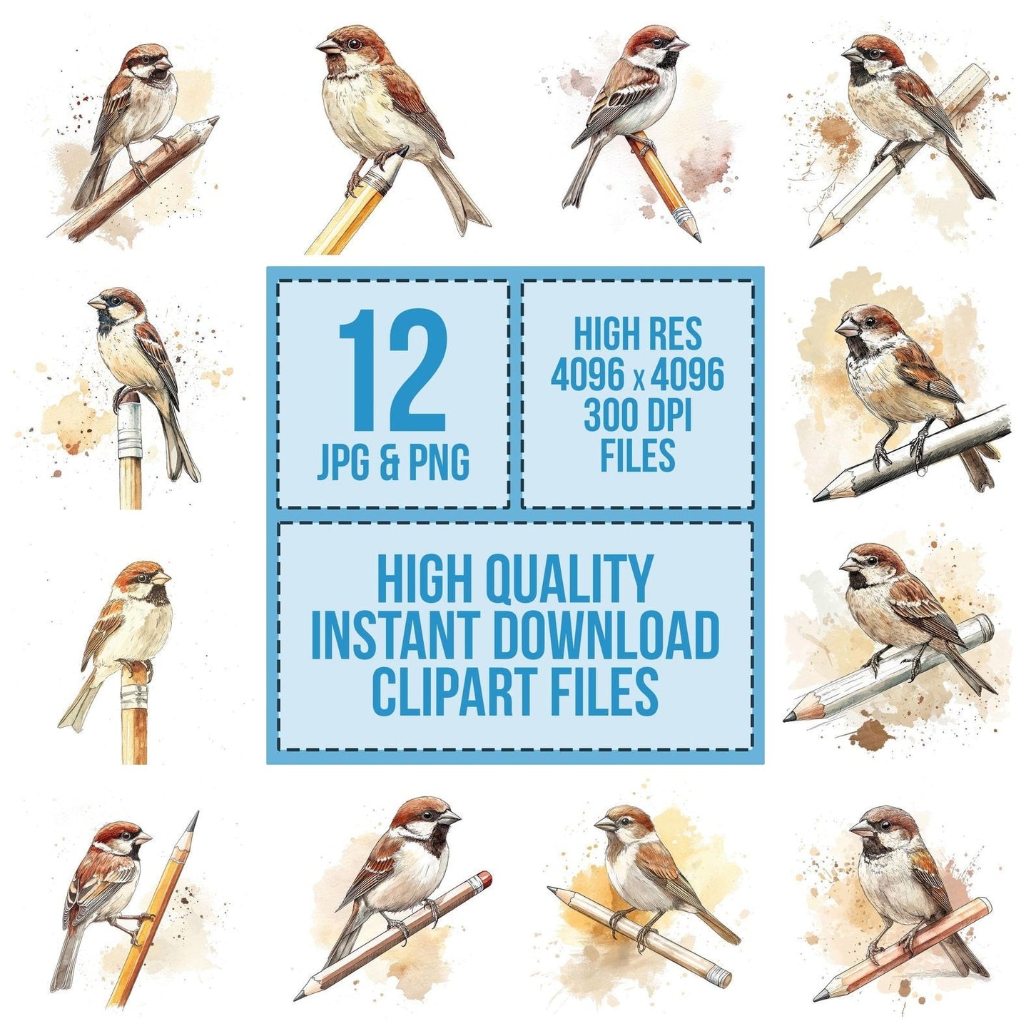 Sparrow on Pencil Clipart Set (DDD006629)