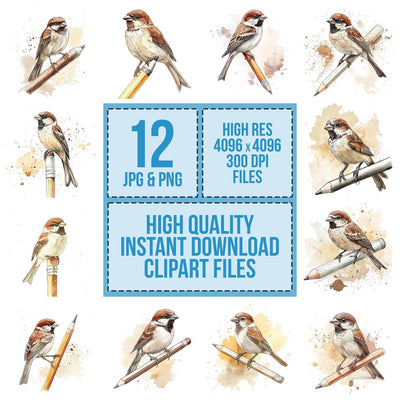 Sparrow on Pencil Clipart Set (DDD006629)