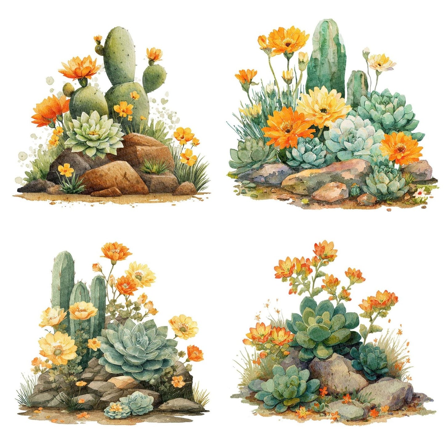 Succulent Cactus Rock Garden Clipart Set (DDD006671)