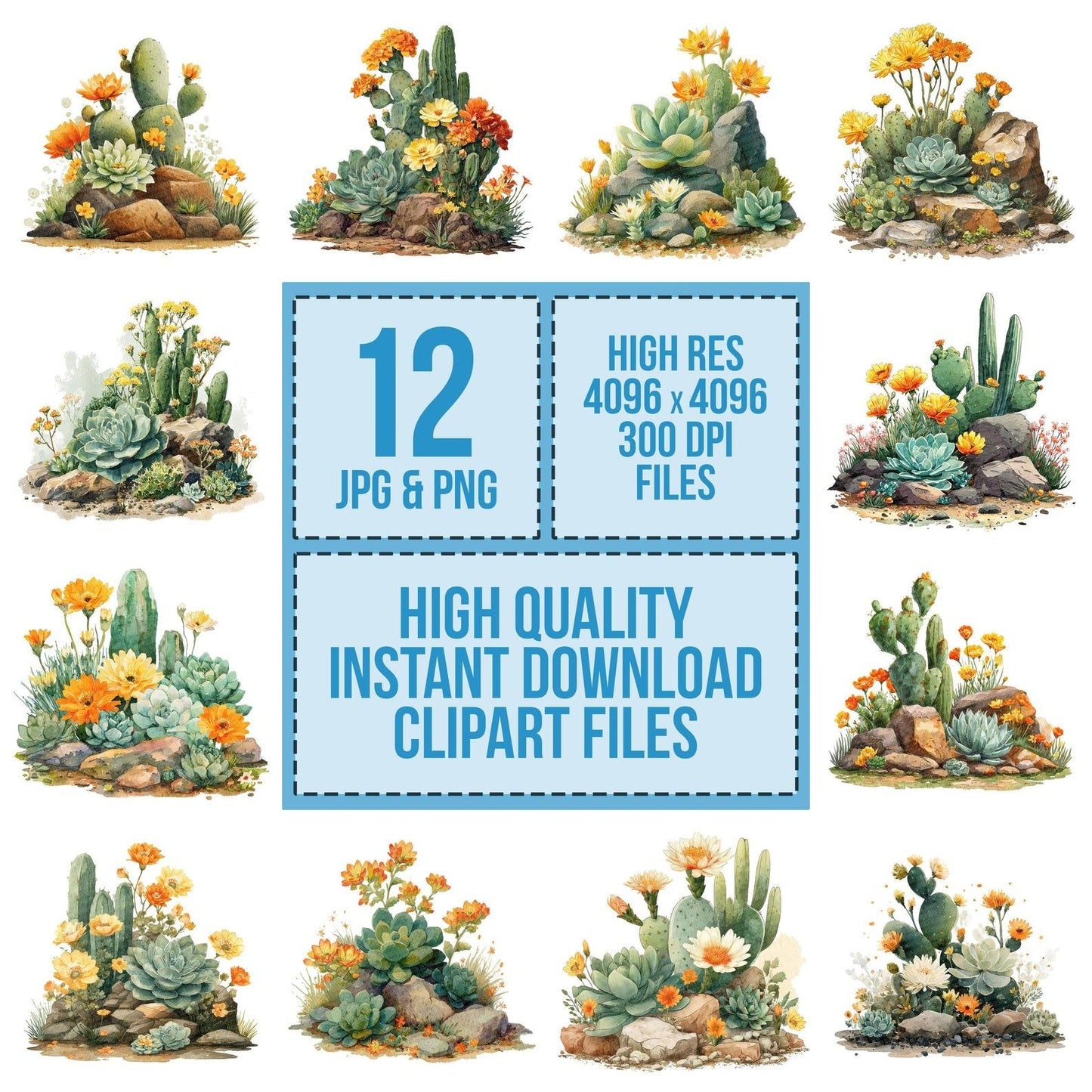 Succulent Cactus Rock Garden Clipart Set (DDD006671)