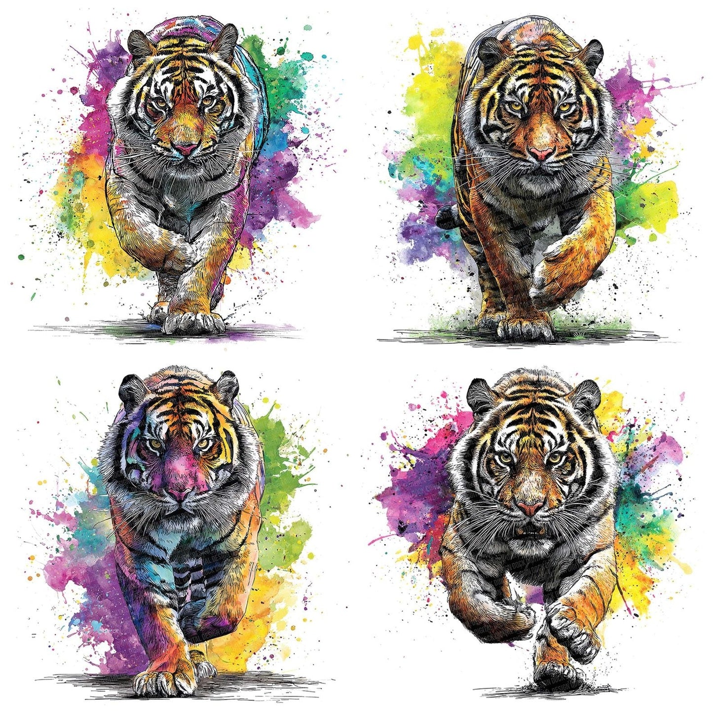 Tiger Neon Colour Splash Clipart Set (DDD006755)