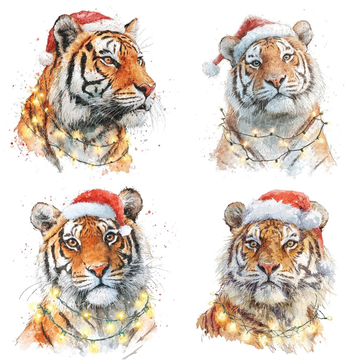 Tiger Santa Hat Clipart Set (DDD006756)