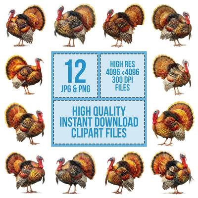 Turkey Feathers Spread clipart set cover showing the designs and file details