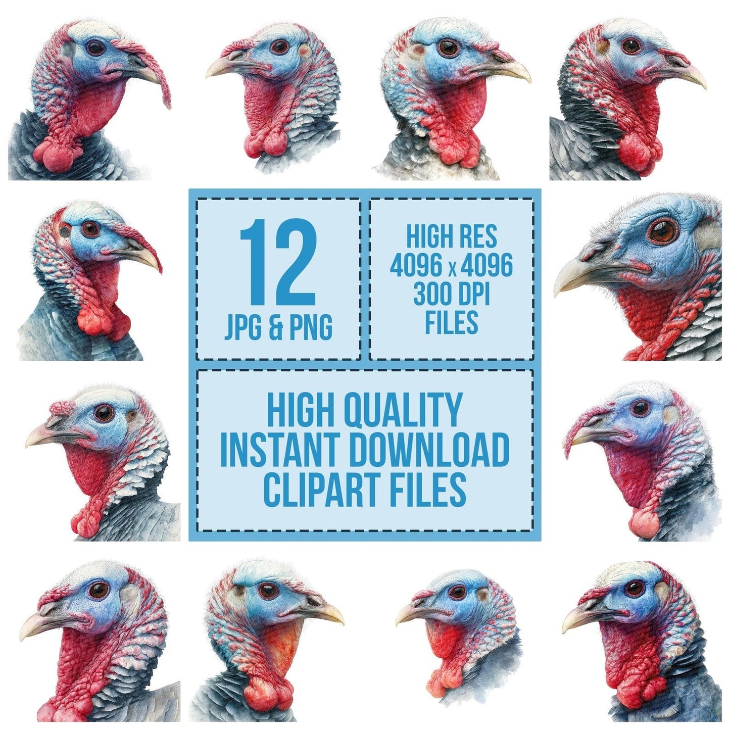 Turkey Head Portrait Clipart Set (DDD006788)