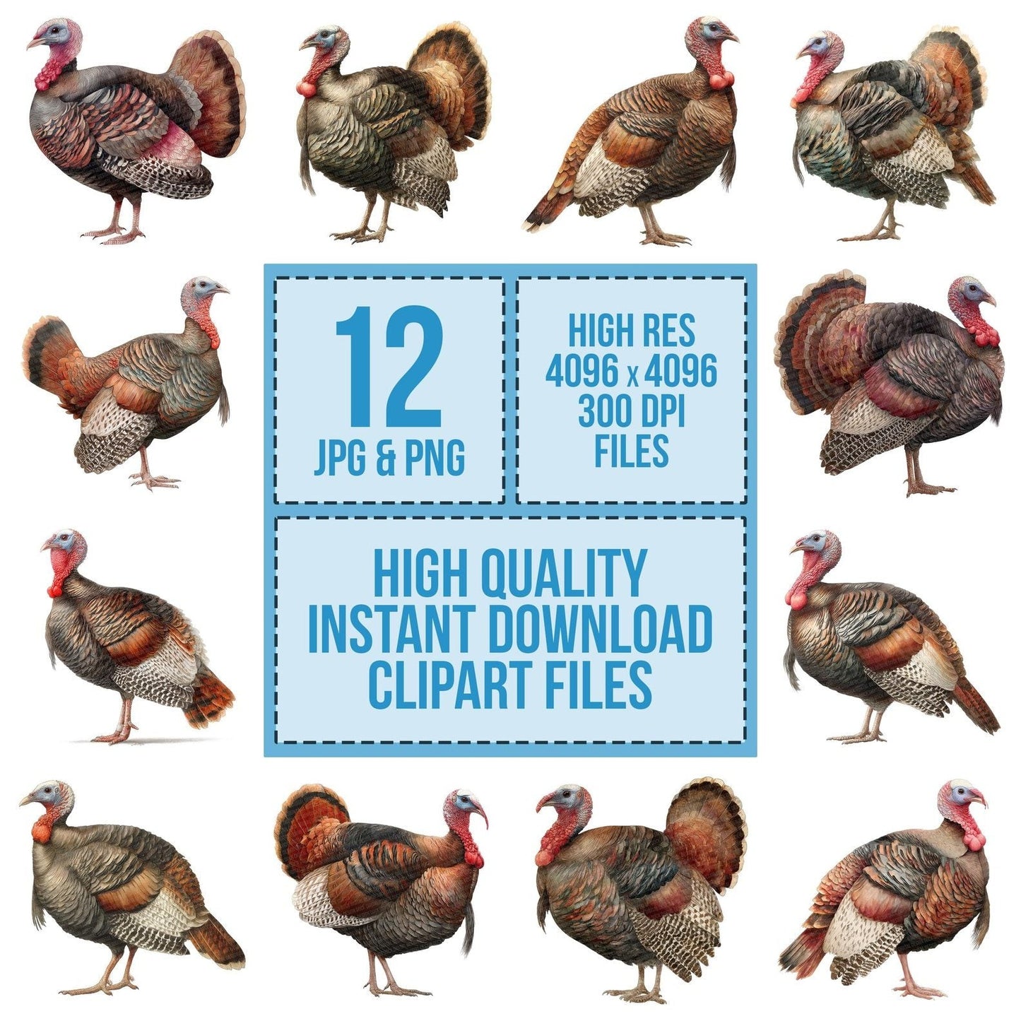 Turkey Side Profile Clipart Set (DDD006789)