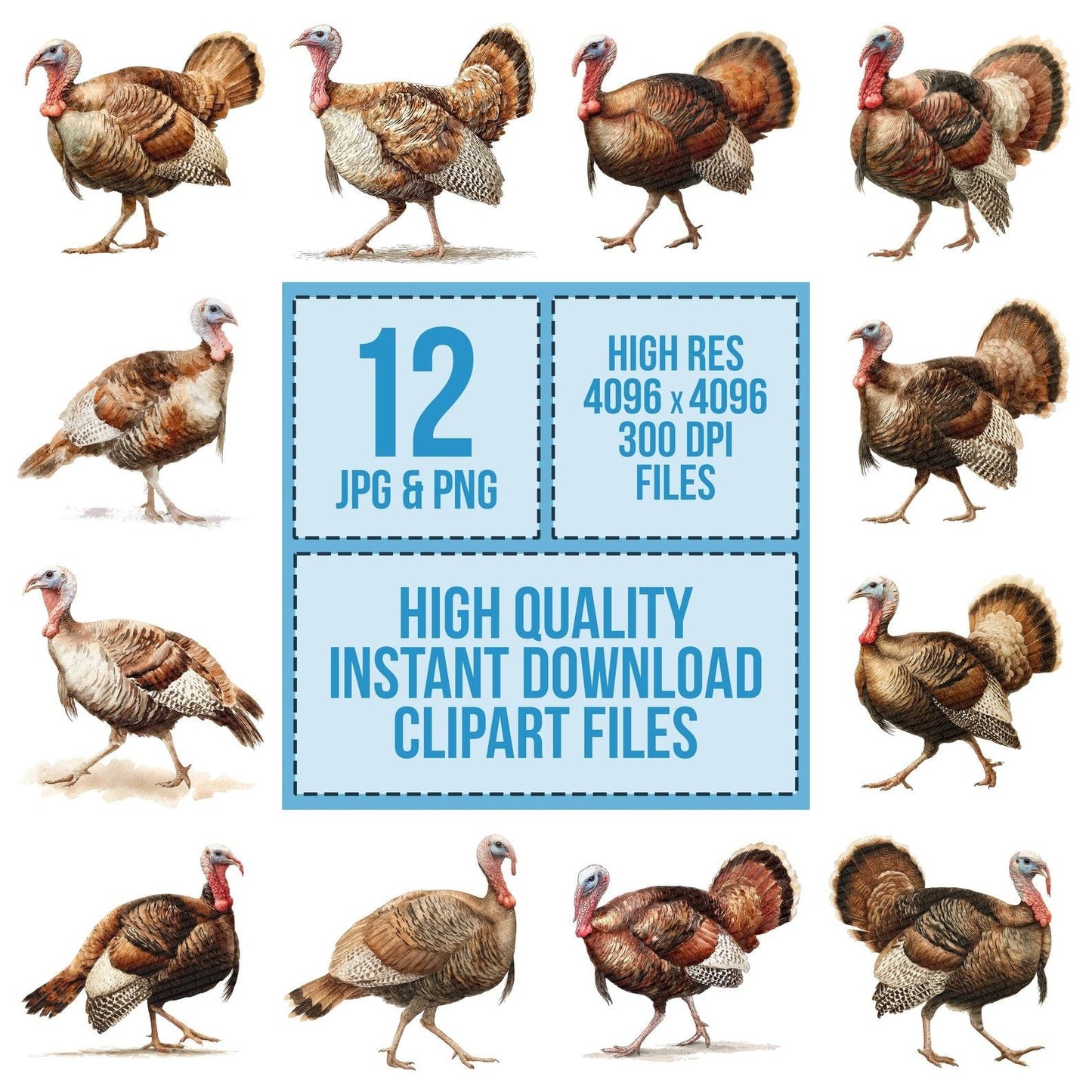 Turkey Walking Clipart Set (DDD006790)