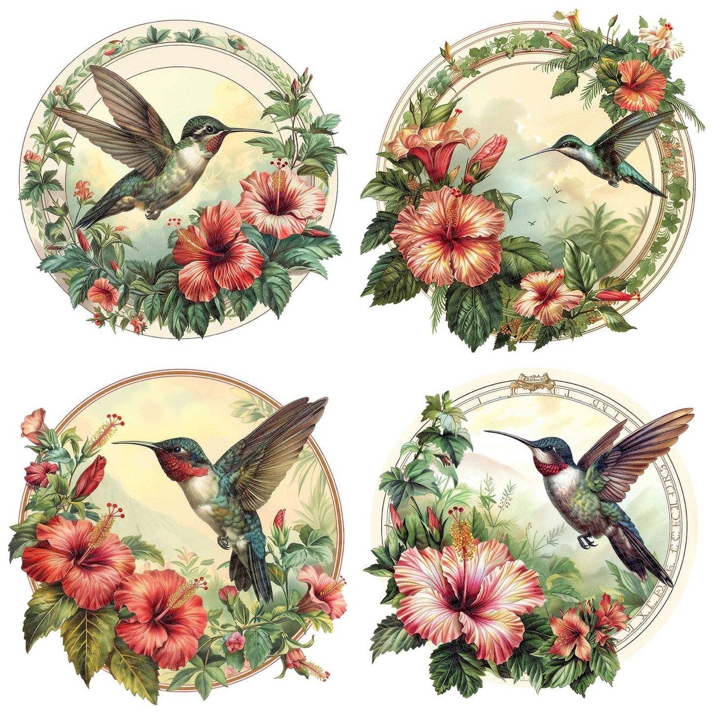 Vintage Floral Hummingbird Illustration Clipart Set (DDD006864)