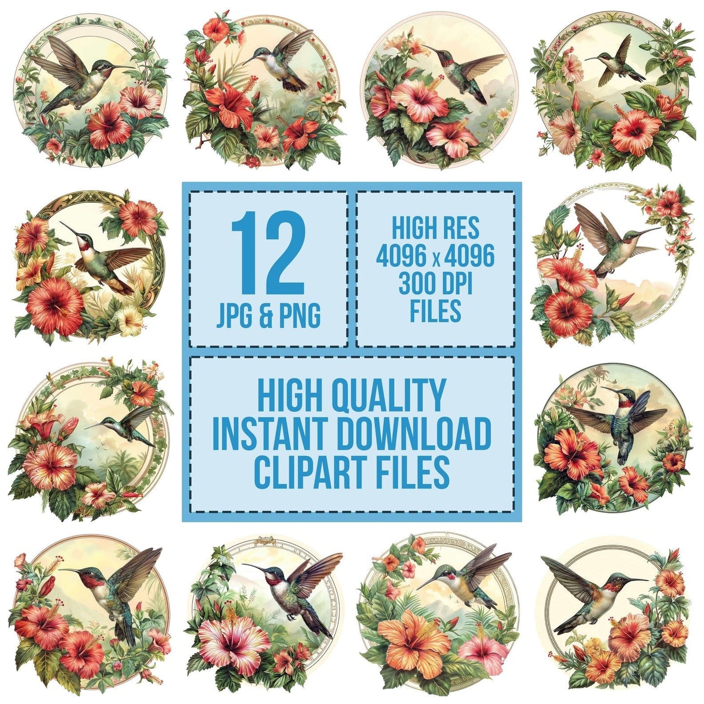 Vintage Floral Hummingbird Illustration Clipart Set (DDD006864)