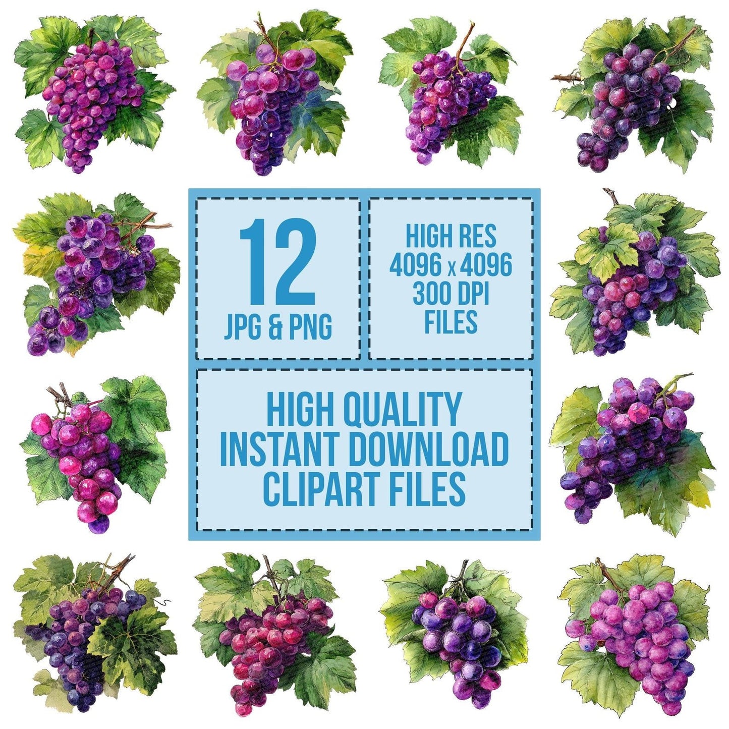 Vintage Grapes Clipart Set (DDD006876)