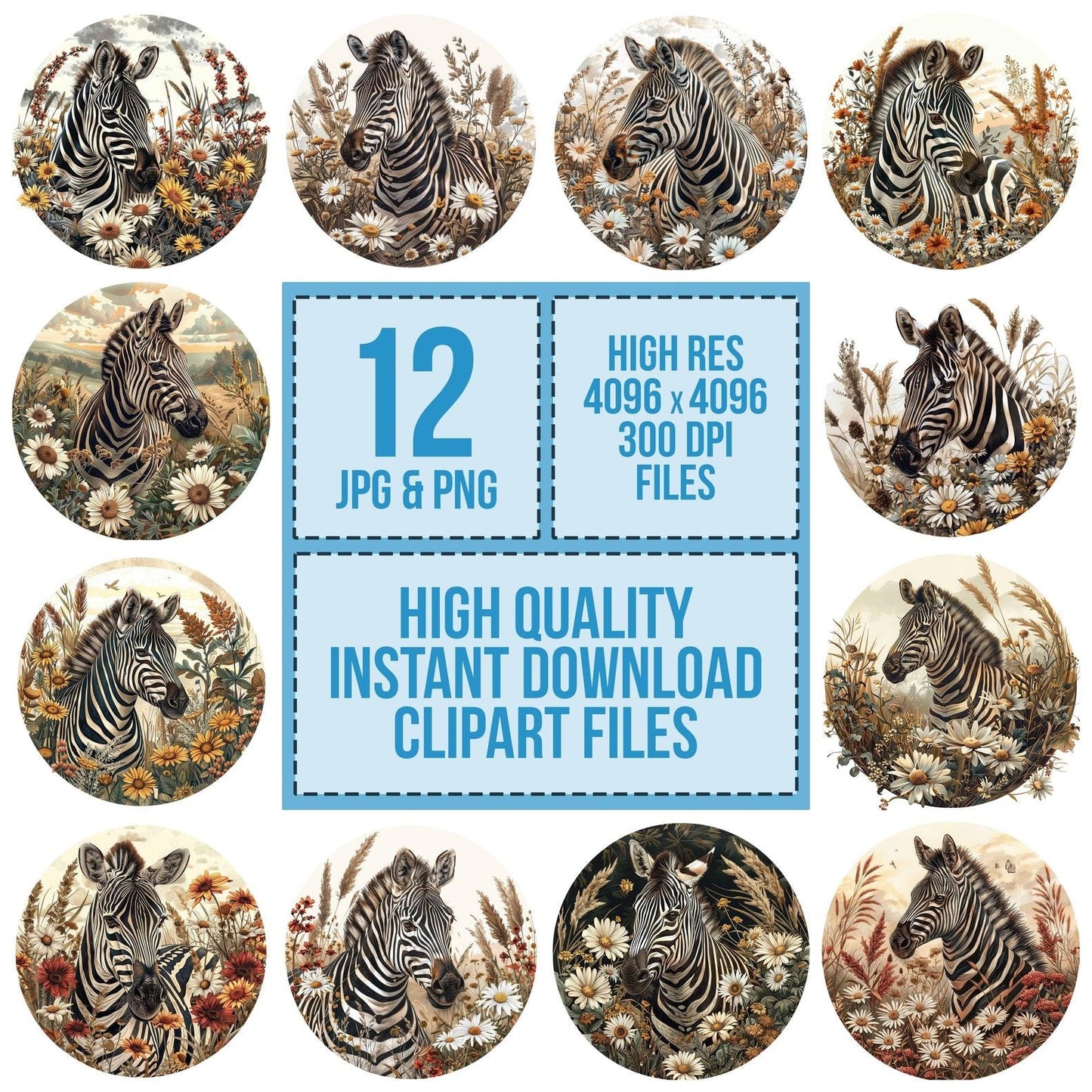 Vintage Grassland Zebra Illustration Clipart Set (DDD006877)