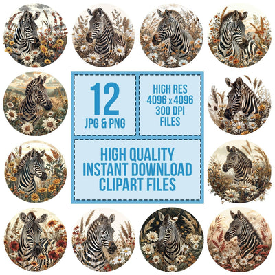 Vintage Grassland Zebra Illustration Clipart Set (DDD006877)