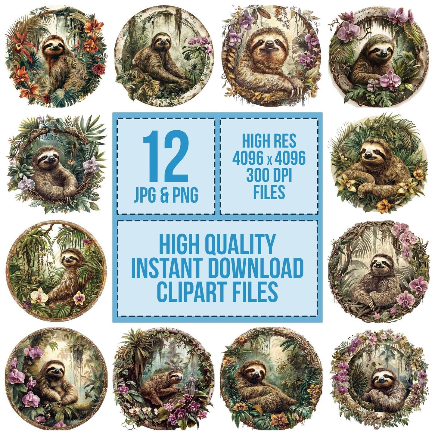 Vintage Sloth Illustration Clipart Set (DDD006919)