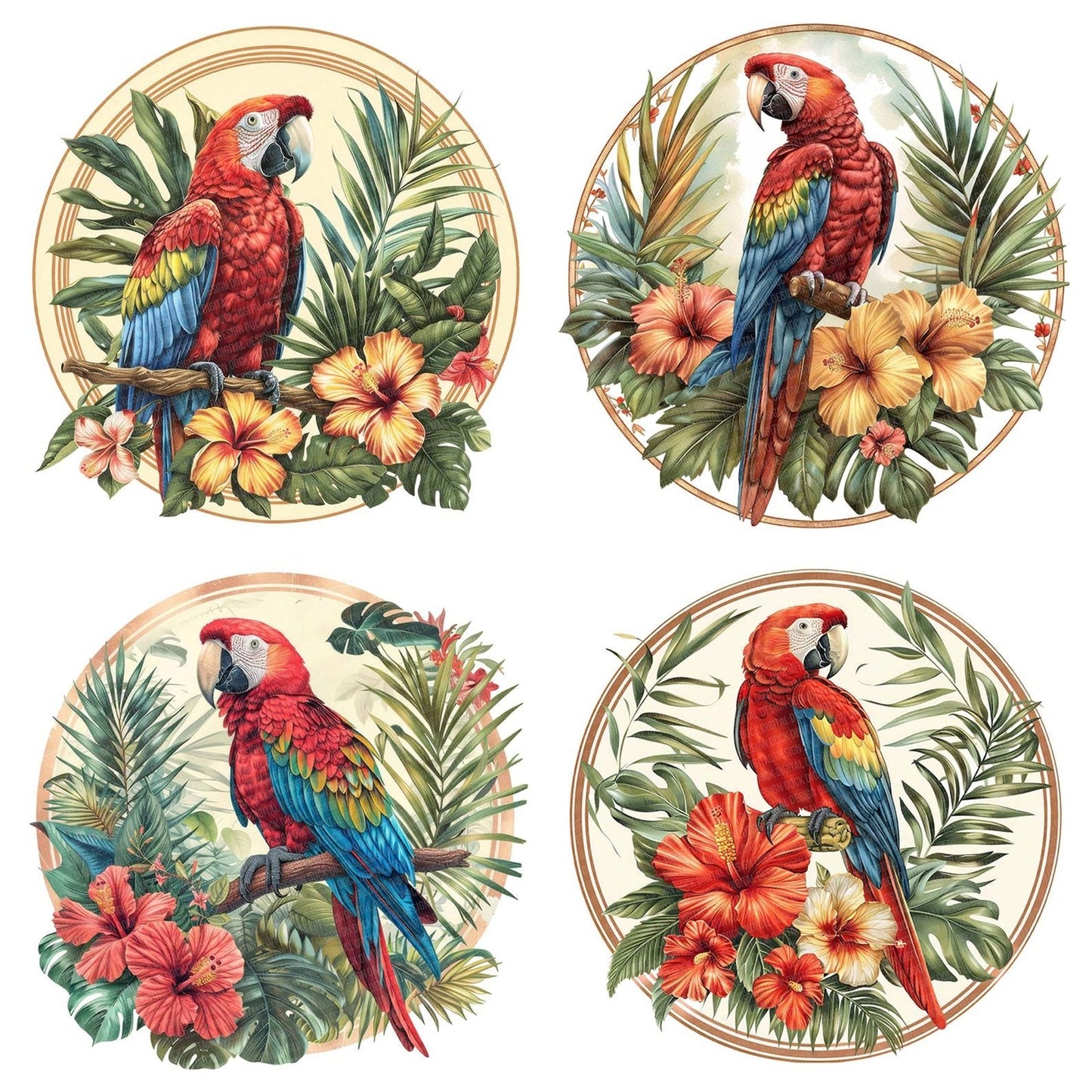 Vintage Tropical Floral Parrot Illustration Clipart Set (DDD006931)