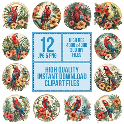 Vintage Tropical Floral Parrot Illustration Clipart Set (DDD006931)