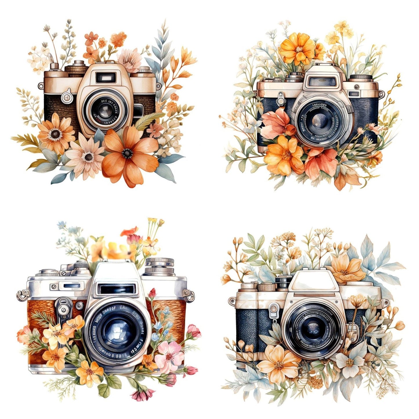 Vintage Wildflower Camera Clipart Set (DDD006945)