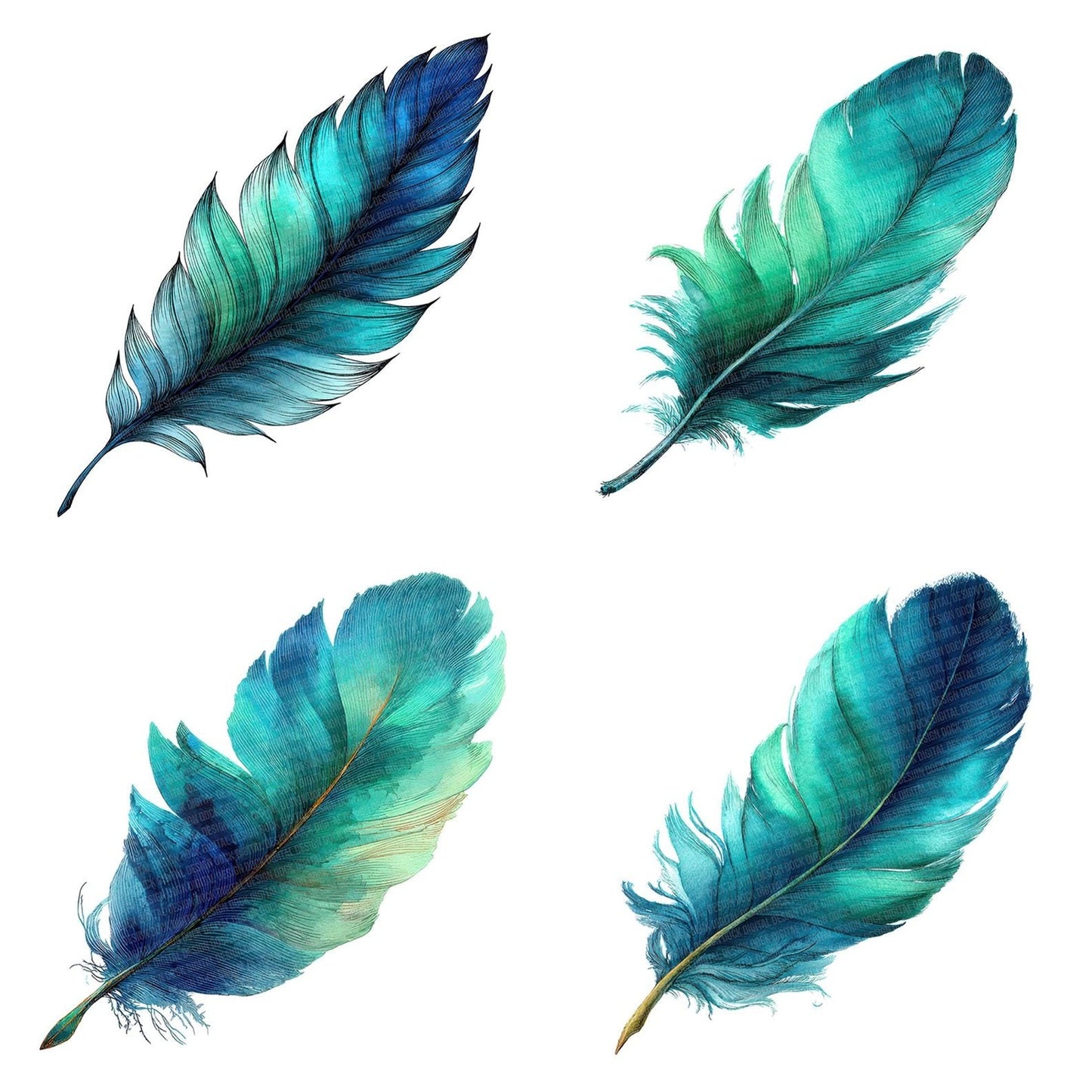 Watercolour Aqua Feather Clipart Set (DDD006968)