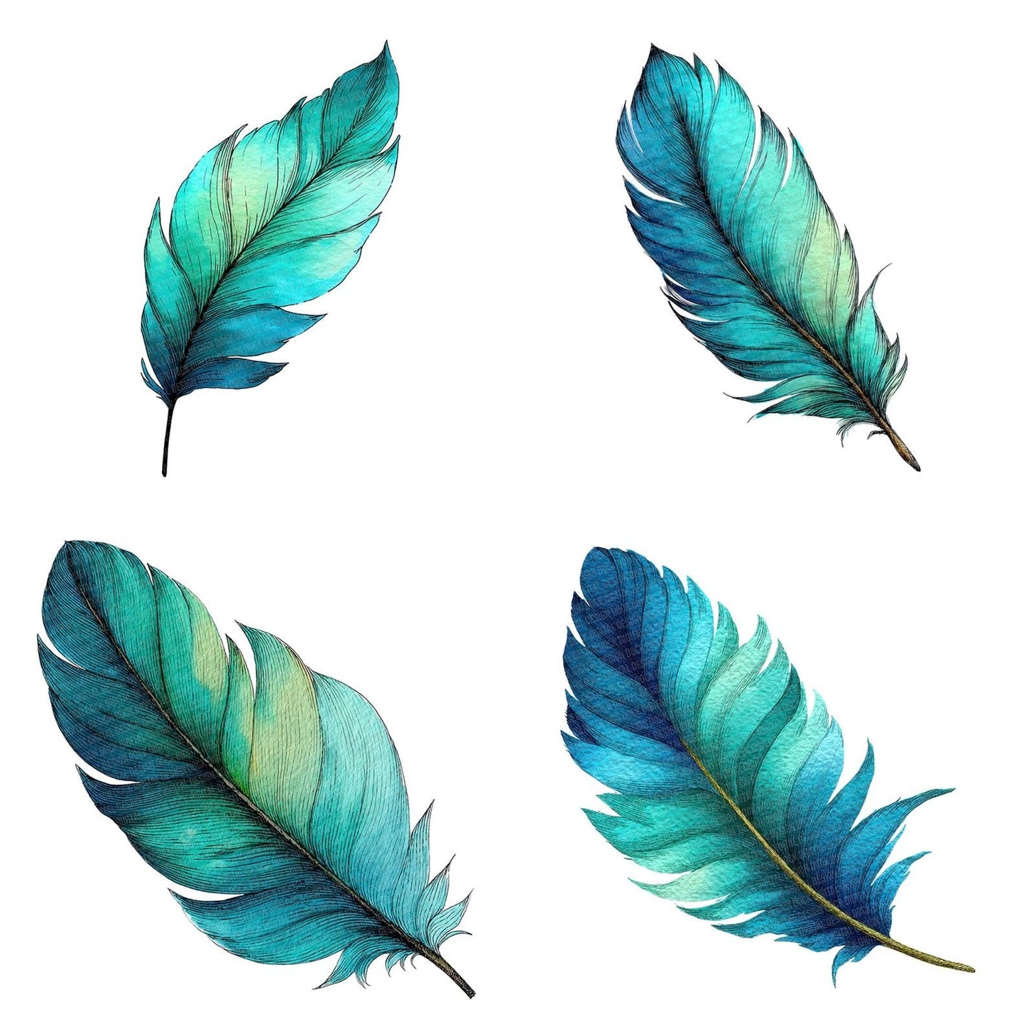 Watercolour Aqua Feather Clipart Set (DDD006968)