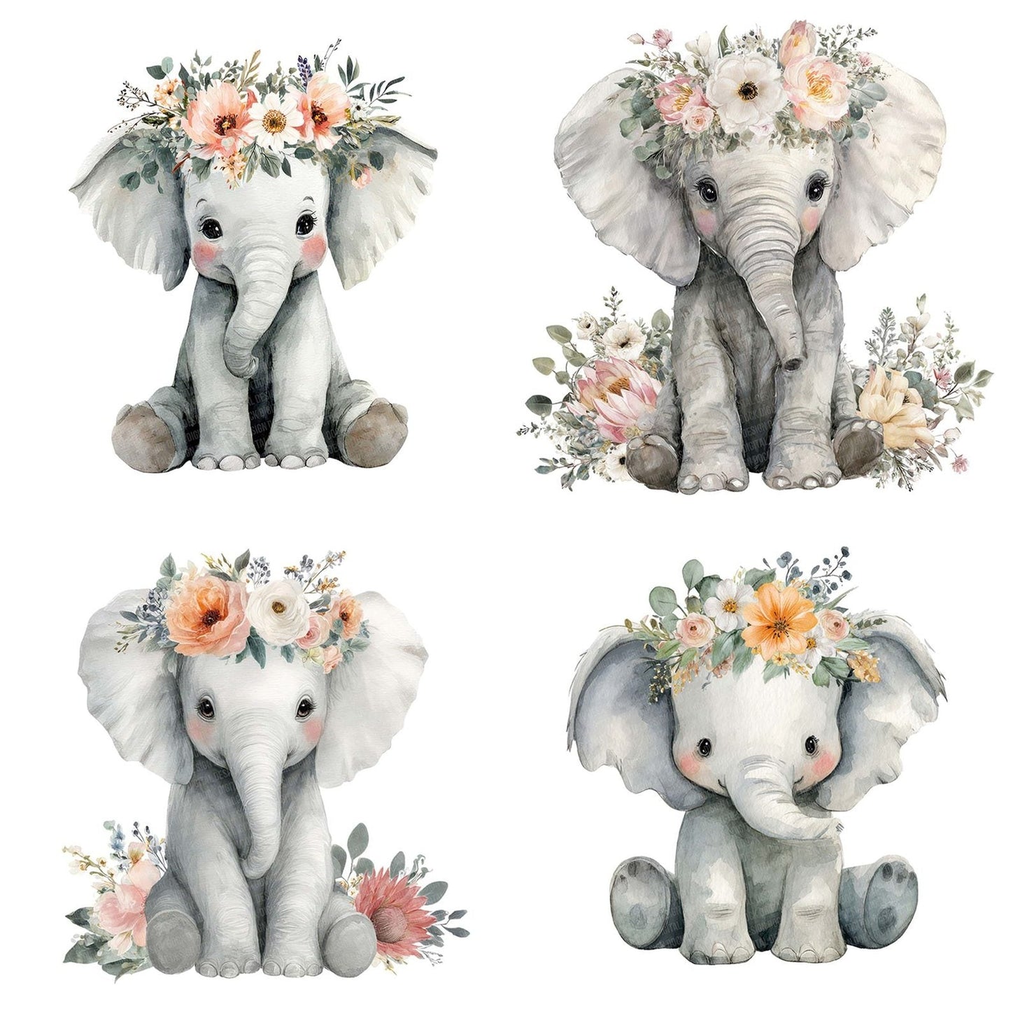 Watercolour Baby Elephant Clipart Set (DDD006971)