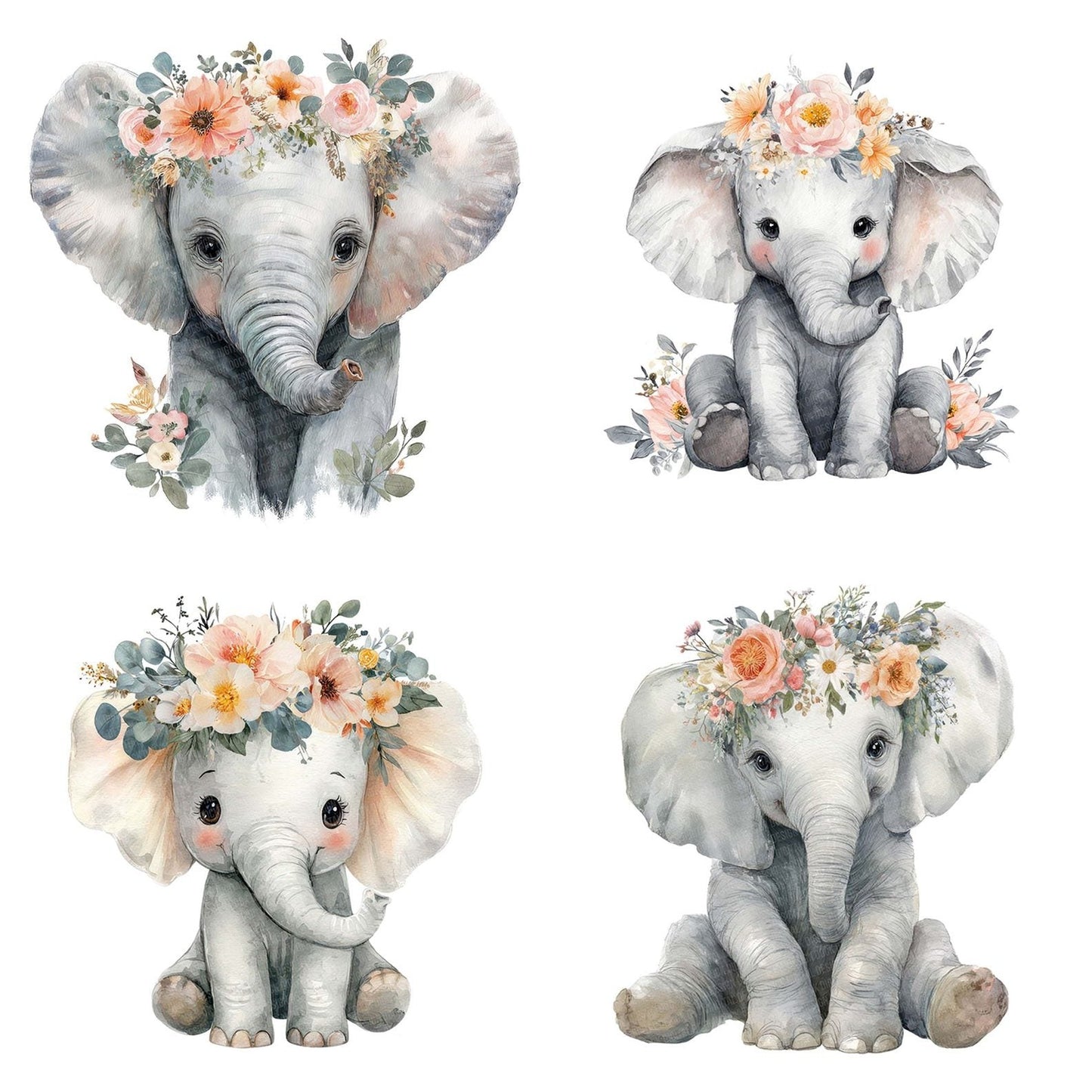 Watercolour Baby Elephant Clipart Set (DDD006971)