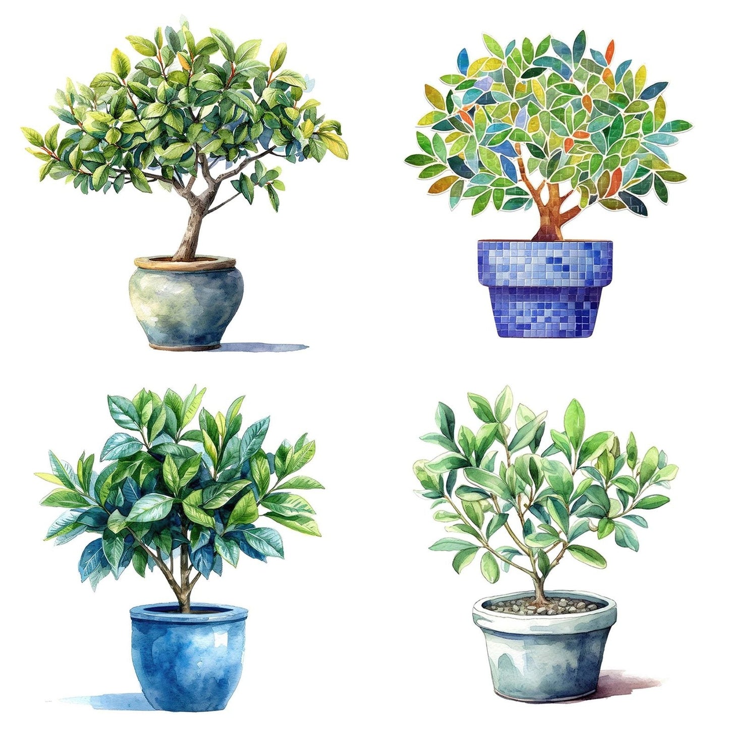 Watercolour Bay Tree Clipart Set (DDD006981)
