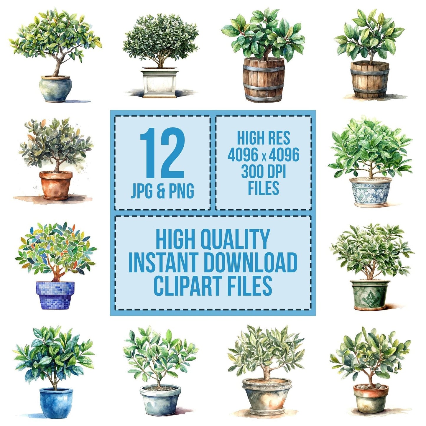 Watercolour Bay Tree Clipart Set (DDD006981)