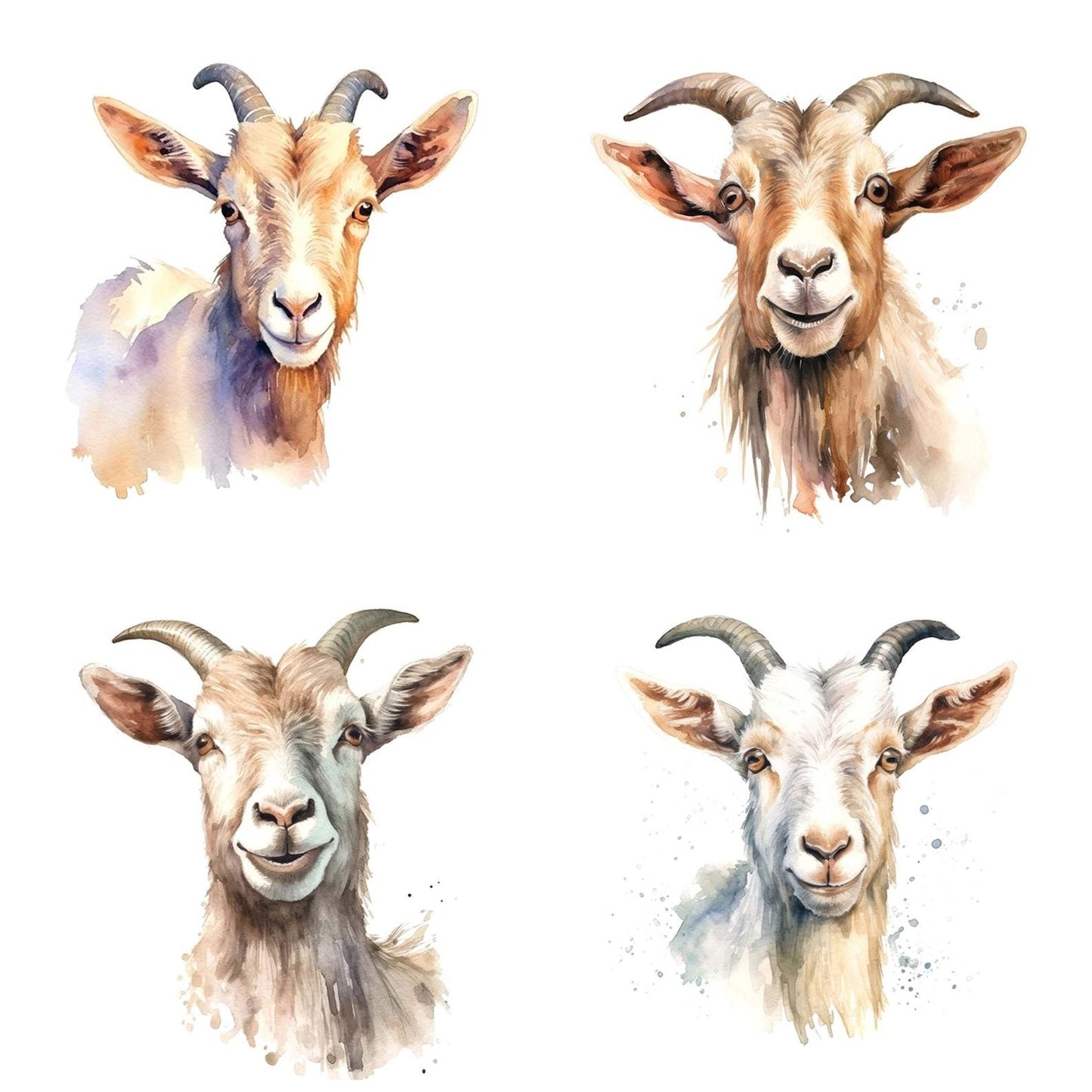 Watercolour Billy Goat Portrait Clipart Set (DDD006982)