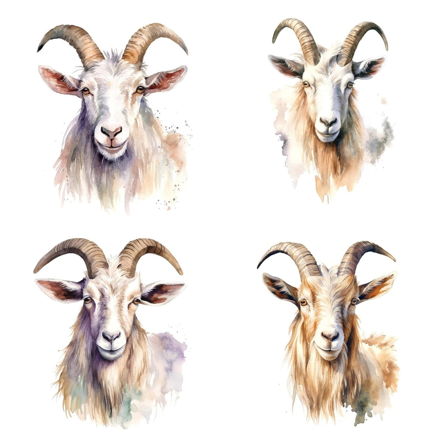 Watercolour Billy Goat Portrait Clipart Set (DDD006982)