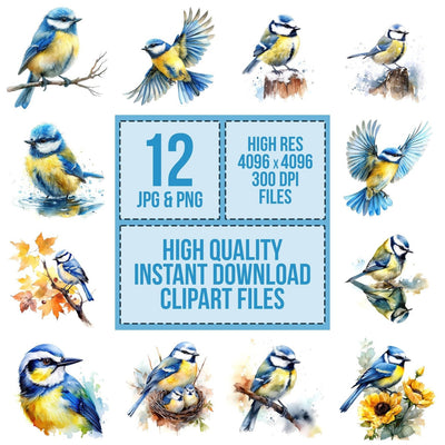 Watercolour Blue Tit Clipart Set (DDD006987)