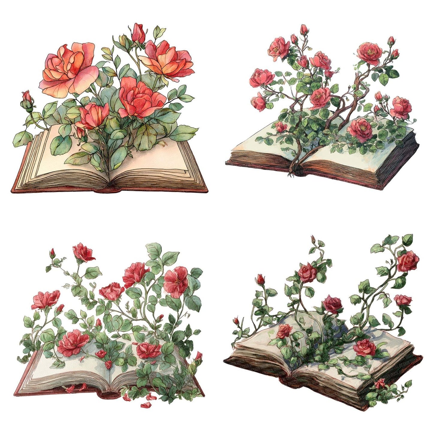 Watercolour Book with Roses Clipart Set (DDD007006)