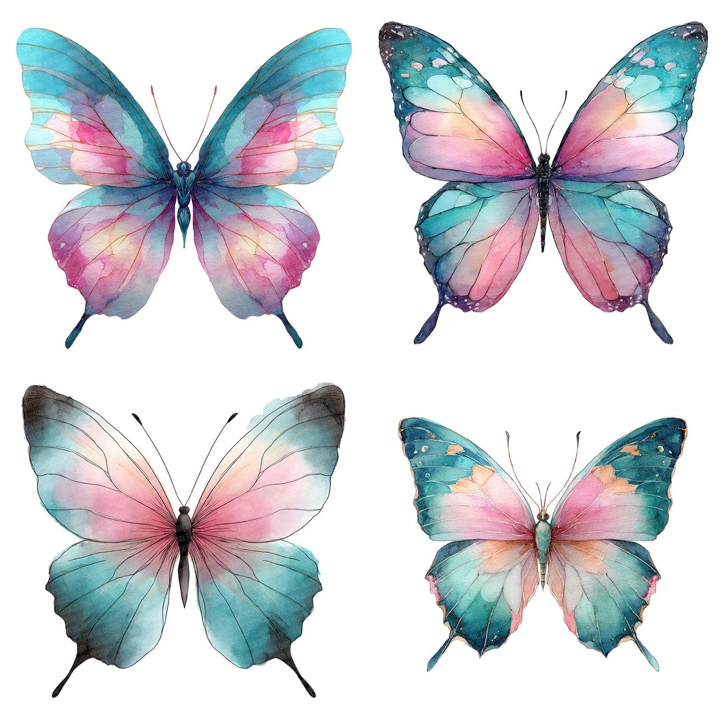Watercolour Butterfly Clipart Set (DDD007018)