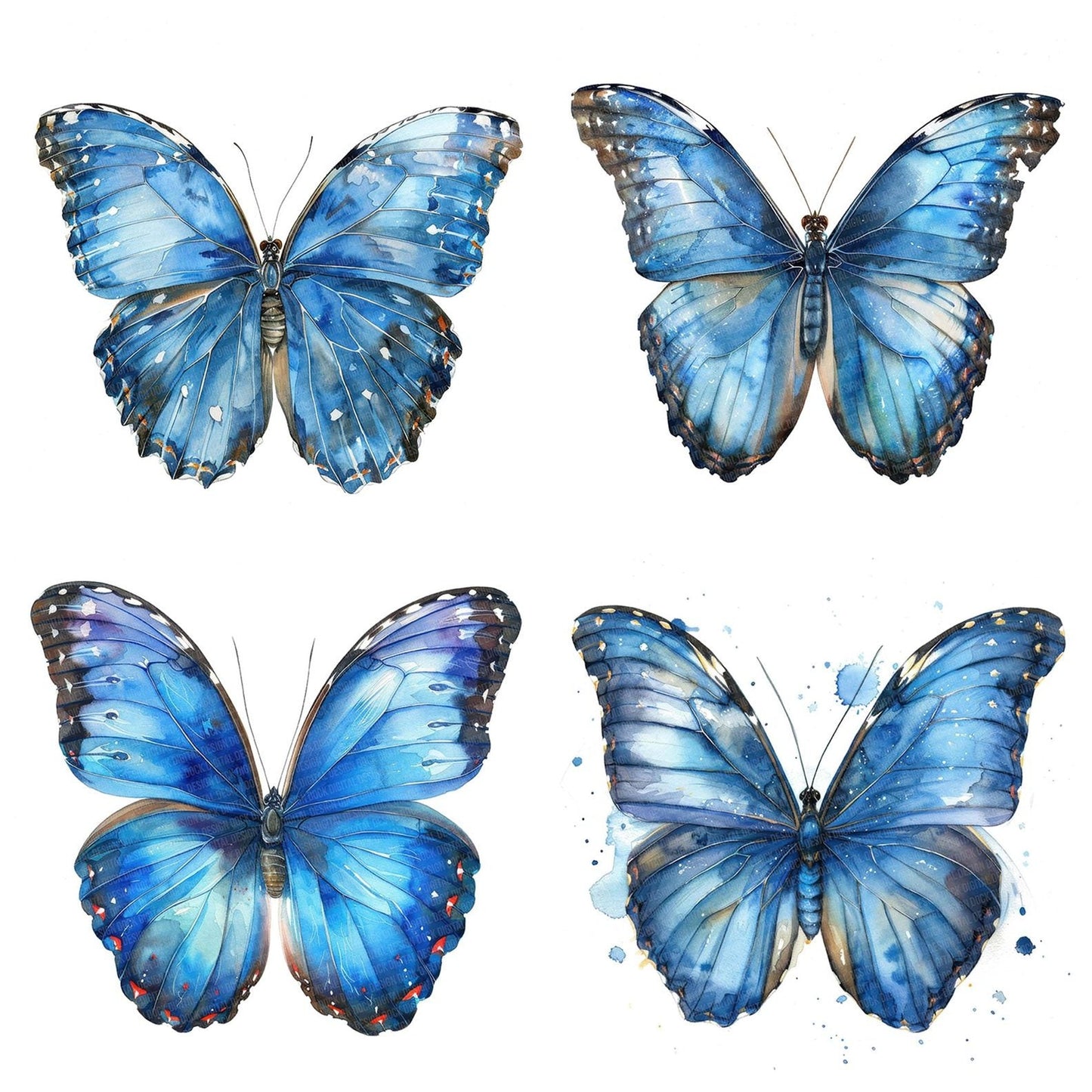 Watercolour Butterfly Blue Morpho Clipart Set (DDD007019)