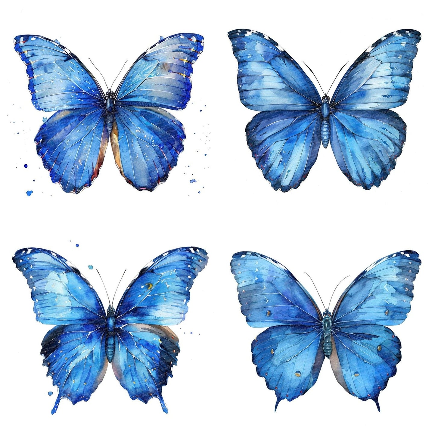 Watercolour Butterfly Blue Morpho Clipart Set (DDD007019)