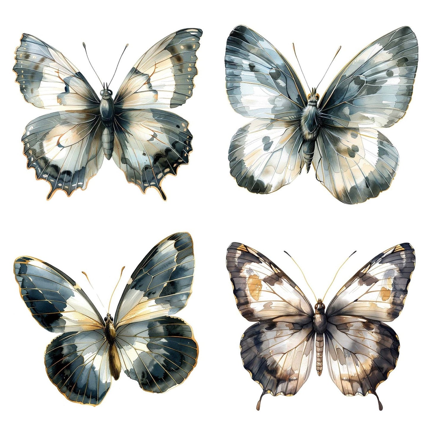 Watercolour Butterfly Glasswing Clipart Set (DDD007020)