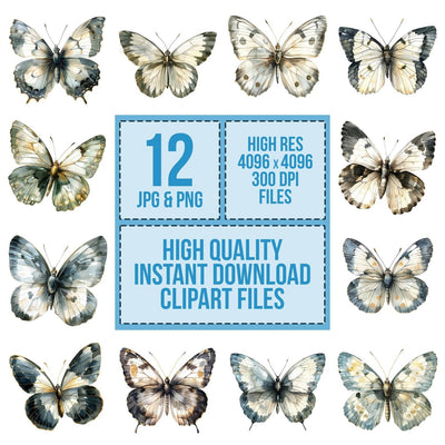 Watercolour Butterfly Glasswing Clipart Set (DDD007020)