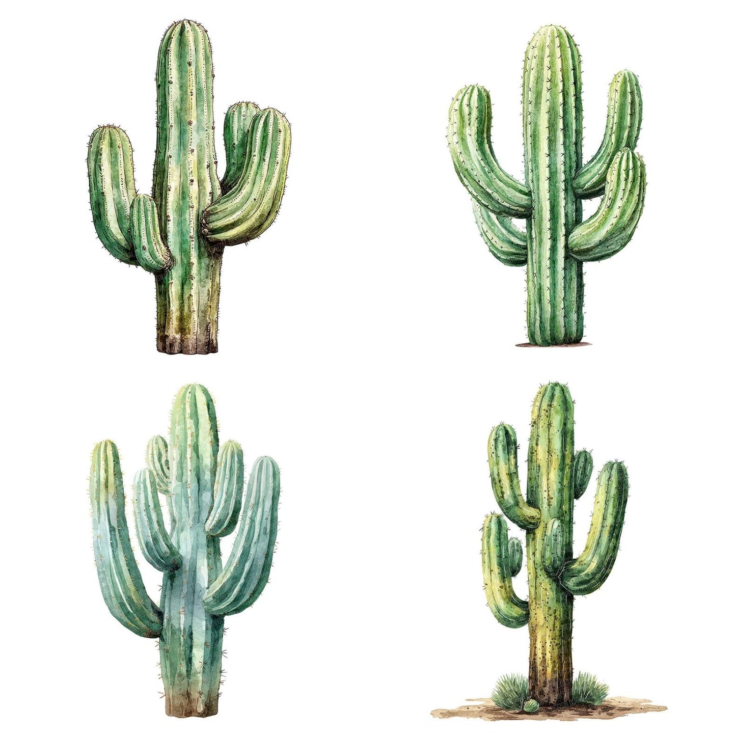 Watercolour Cactus Clipart Set (DDD007022)