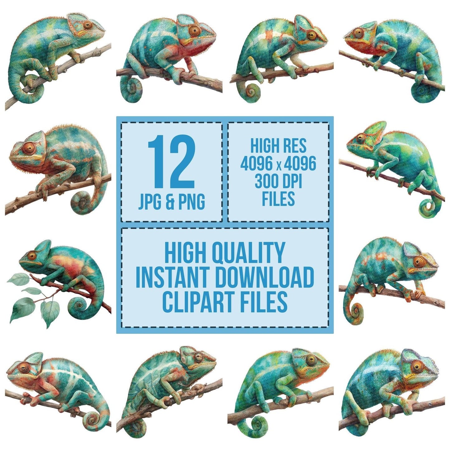 Watercolour Chameleon Clipart Set (DDD007033)