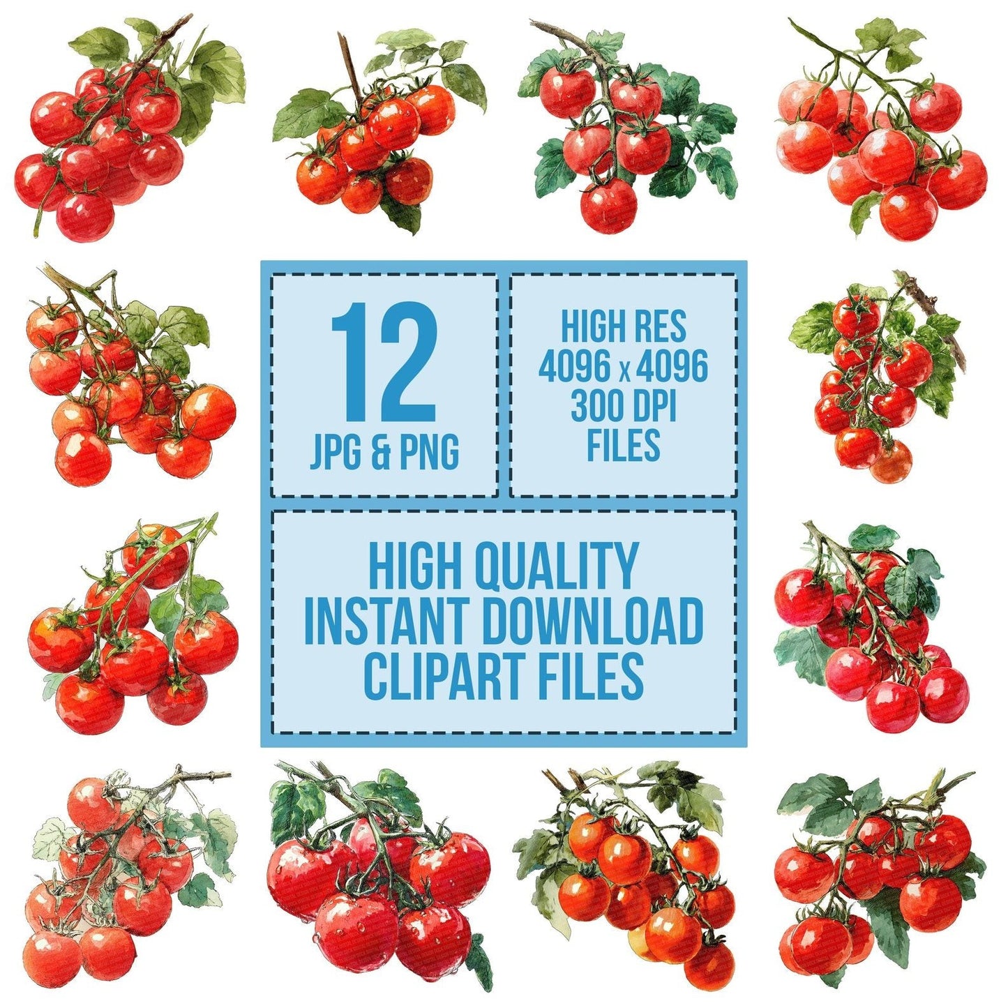 Watercolour Cherry Tomatoes Clipart Set (DDD007035)