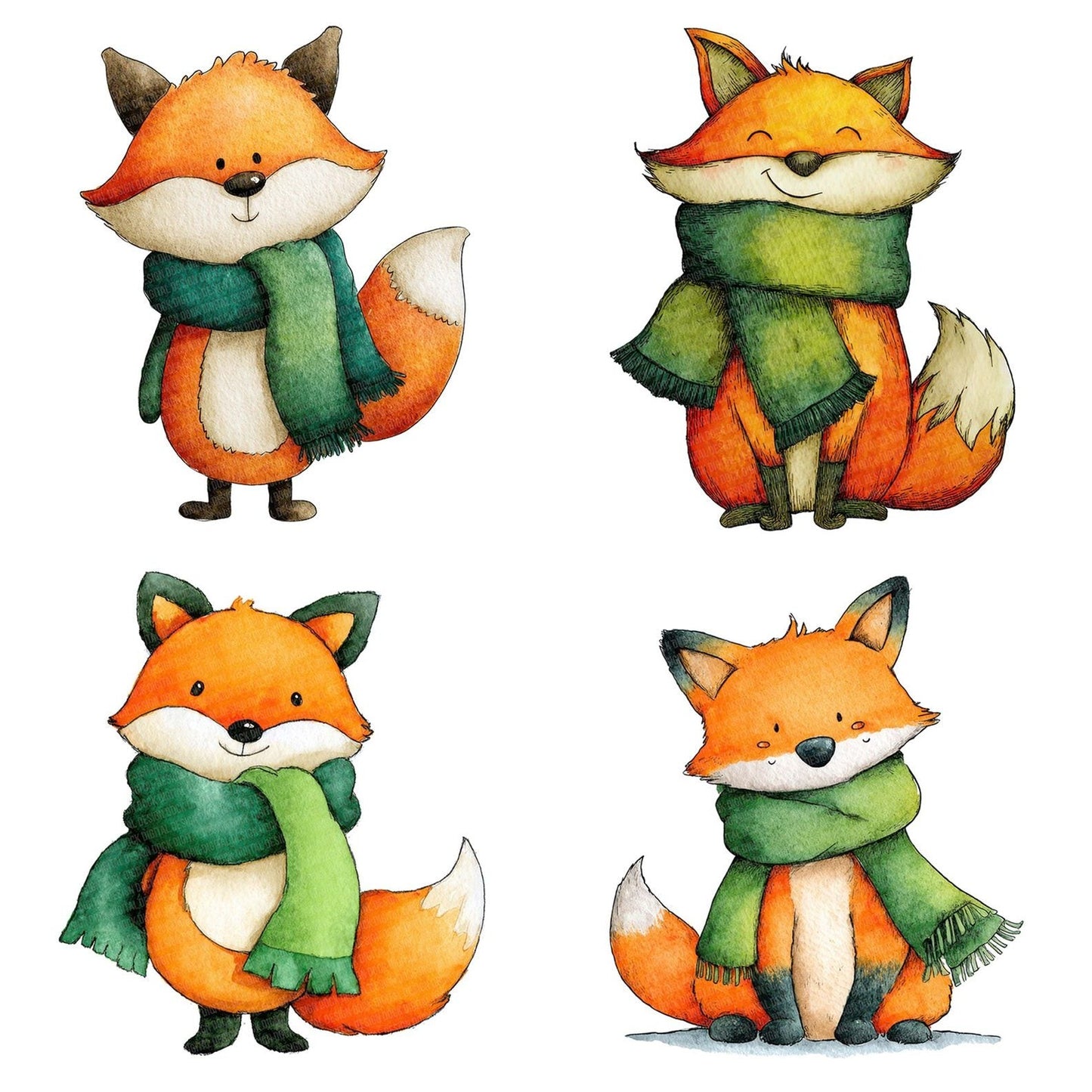 Watercolour Christmas Fox Scarf Clipart Set (DDD007043)