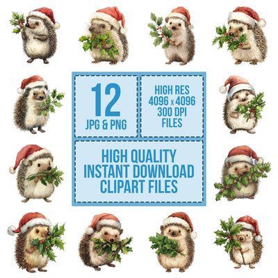 Watercolour Christmas Hedgehog with Holly clipart set cover showing the designs and file details
