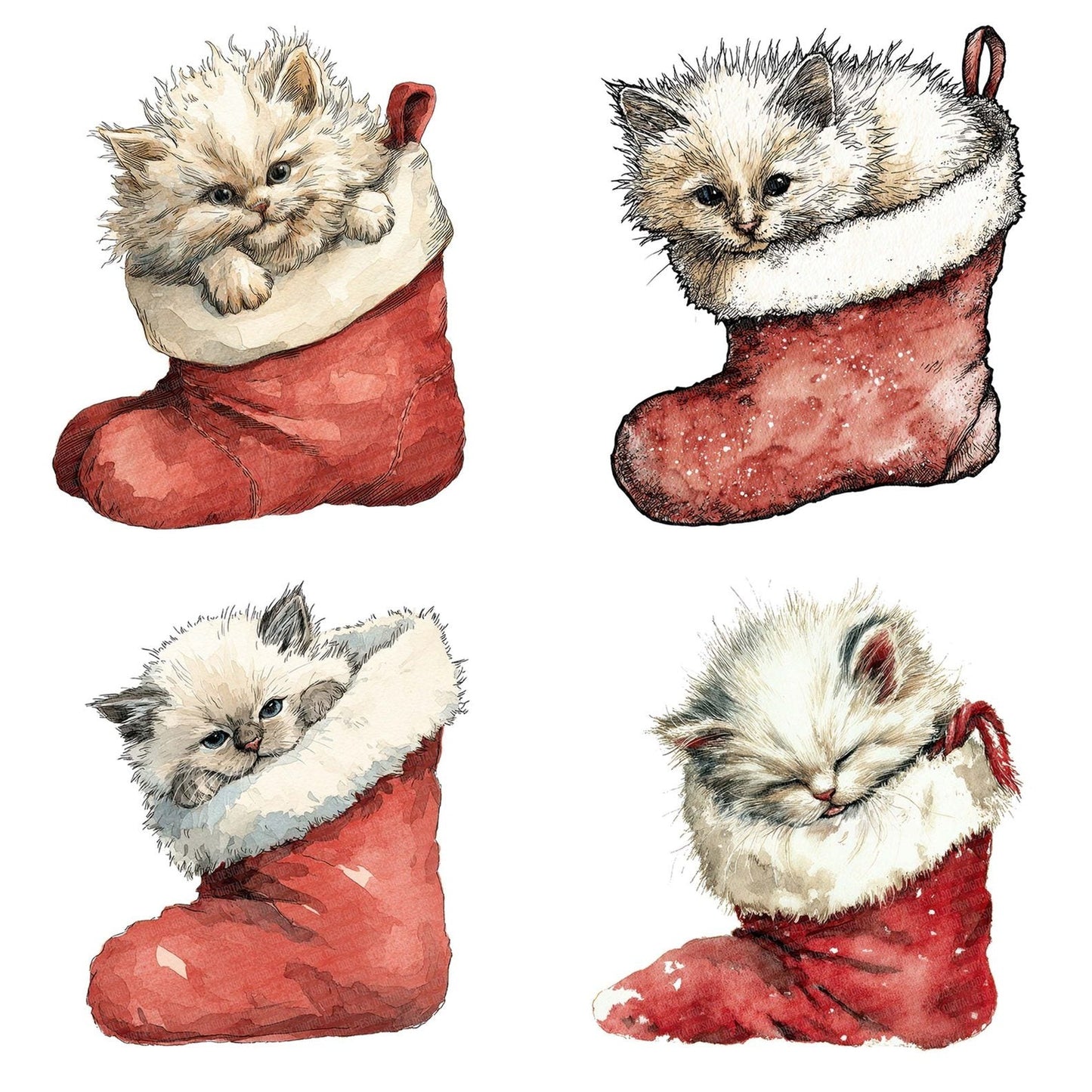 Watercolour Christmas Kitten Stocking Clipart Set (DDD007047)