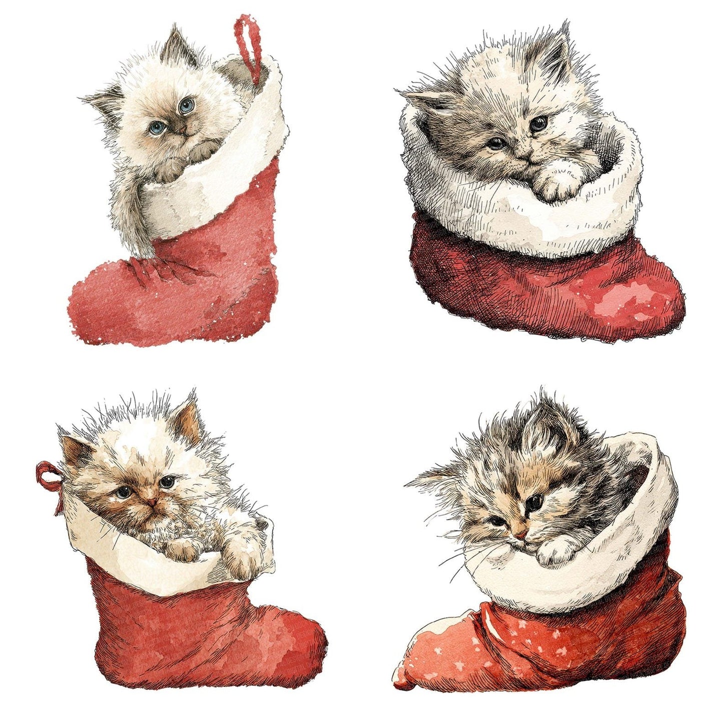 Watercolour Christmas Kitten Stocking Clipart Set (DDD007047)