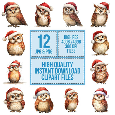 Watercolour Christmas Owl Santa Hat clipart set cover showing the designs and file details