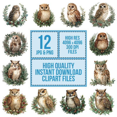 Watercolour Christmas Owl Wreath clipart set cover showing the designs and file details