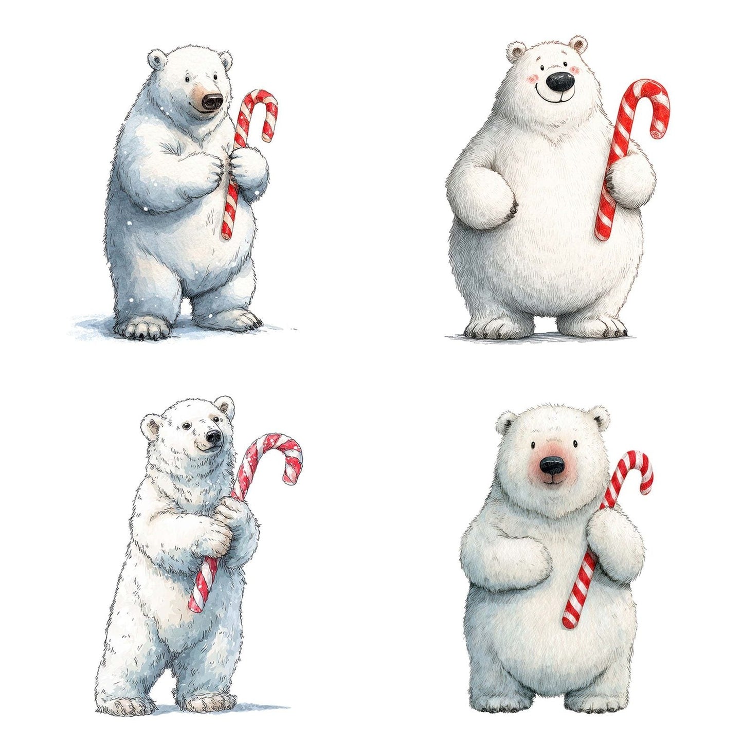 Watercolour Christmas Polar Bear Candy Cane Clipart Set (DDD007055)