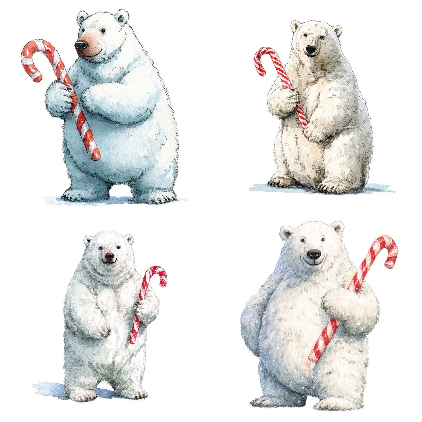 Watercolour Christmas Polar Bear Candy Cane Clipart Set (DDD007055)