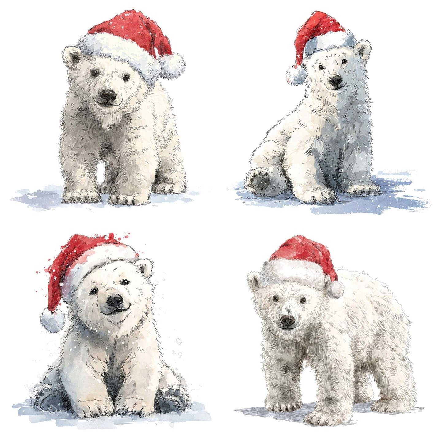 Watercolour Christmas Polar Bear Santa Clipart Set (DDD007056)